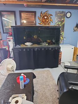 300 Gallon Aquarium 