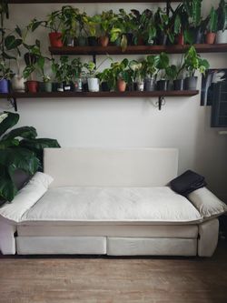 Queen Pull Out Couch