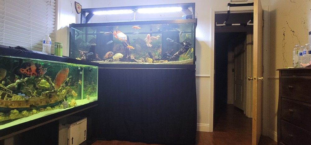 200 Gallon Aquarium / Fish Tank With STEAL STAND!!!