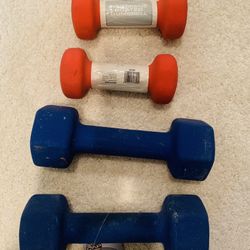 CAP Strength Neoprene Lot Of 4 Dumbbell Weights