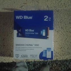 Wd Blue 2tb Ssd