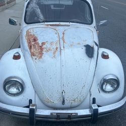 69. VW bug Windshield brand new.