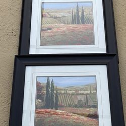 Picture in frame 🖼 both for this price