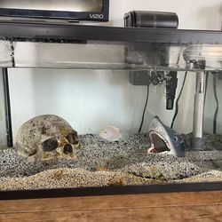10 Gallon Fish Tank