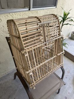 Birds Cage