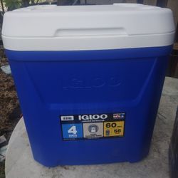 Igloo Cooler