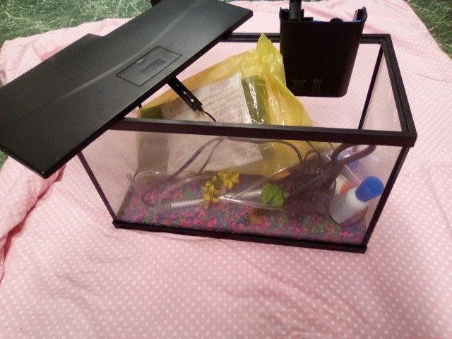 10 Gallon Fish Tank +Extras 30.00