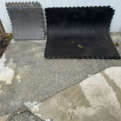 3 Floor Mats For Gym Very Strong With Another 7 Little Mats 