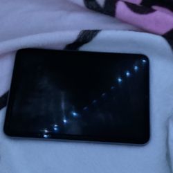 iPad 6th mini