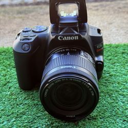 Canon Rebel Sl3 With 18-55 Lens