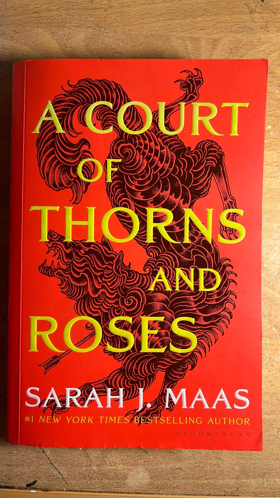 πΉ A Court of Thorns and Roses β Paperback Fantasy Romance
