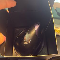 Evoluent Mouse 