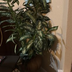 Artificial Plant
