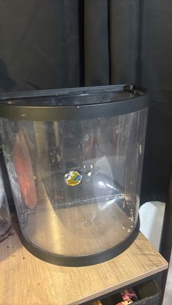 Plastic aquarium 10$ obo 12in wide
