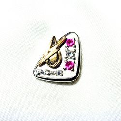 PG&E 12k GF Tie Bar and Lapel Pin