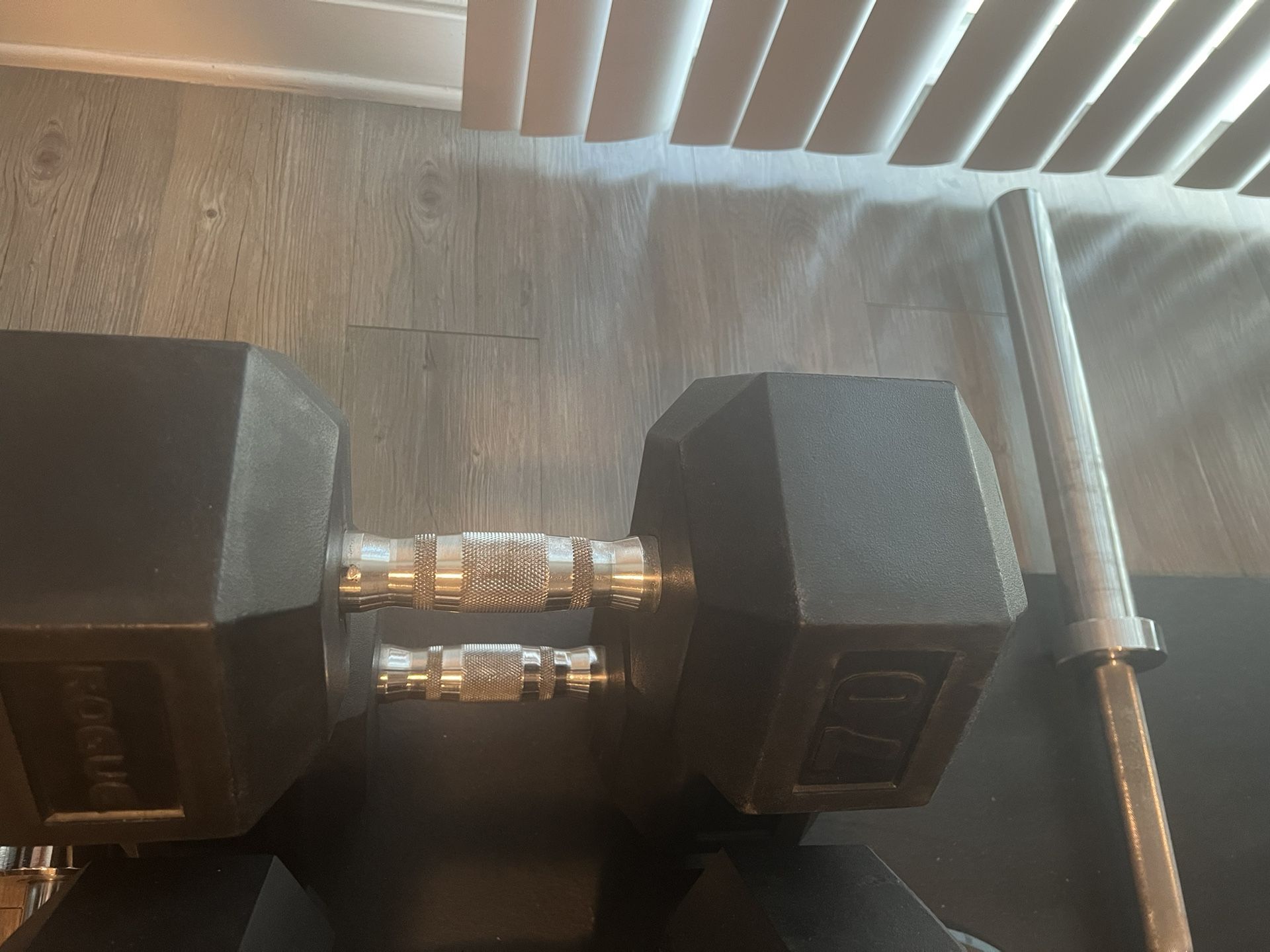 Rogue 70 lb Dumbbells