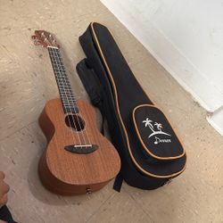 Donner ukulele 