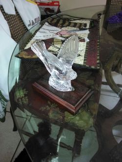 Waterfird crustal dove