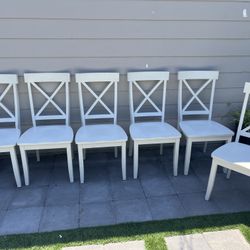 Dinning Chairs 
