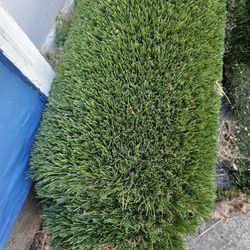 Synthetic Grass 