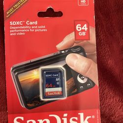 SanDisk 64 GB Card 