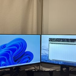 2 Dell Monitors 