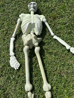 3 HALLOWEEN SKELETONS !