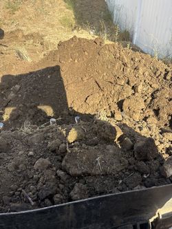 Free Dirt