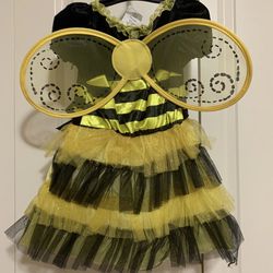 3T-4T size. Bumble bee costume.