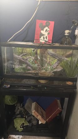 Tank