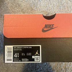 Air Jordan 12