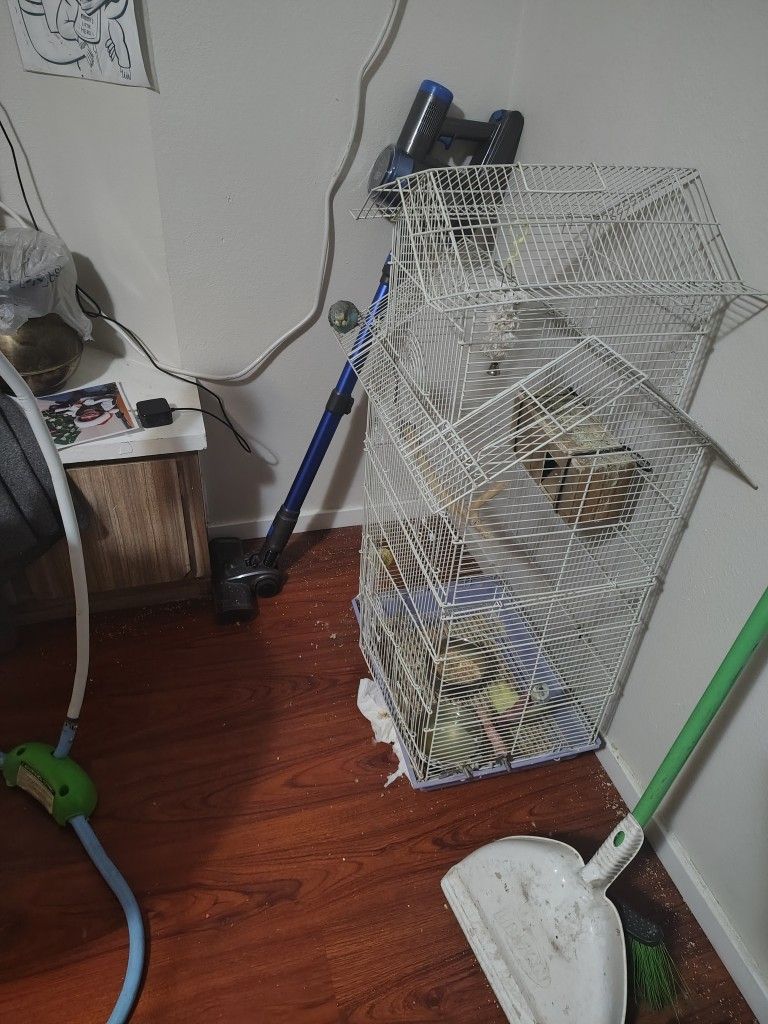 Cage For Birds