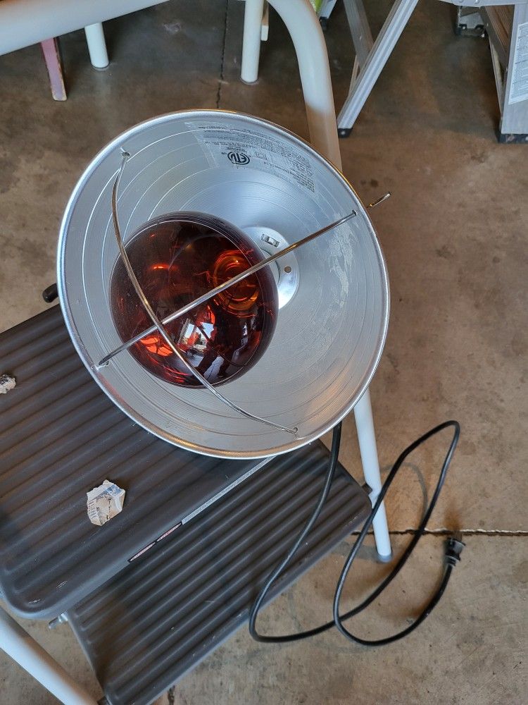 Warming Lamp