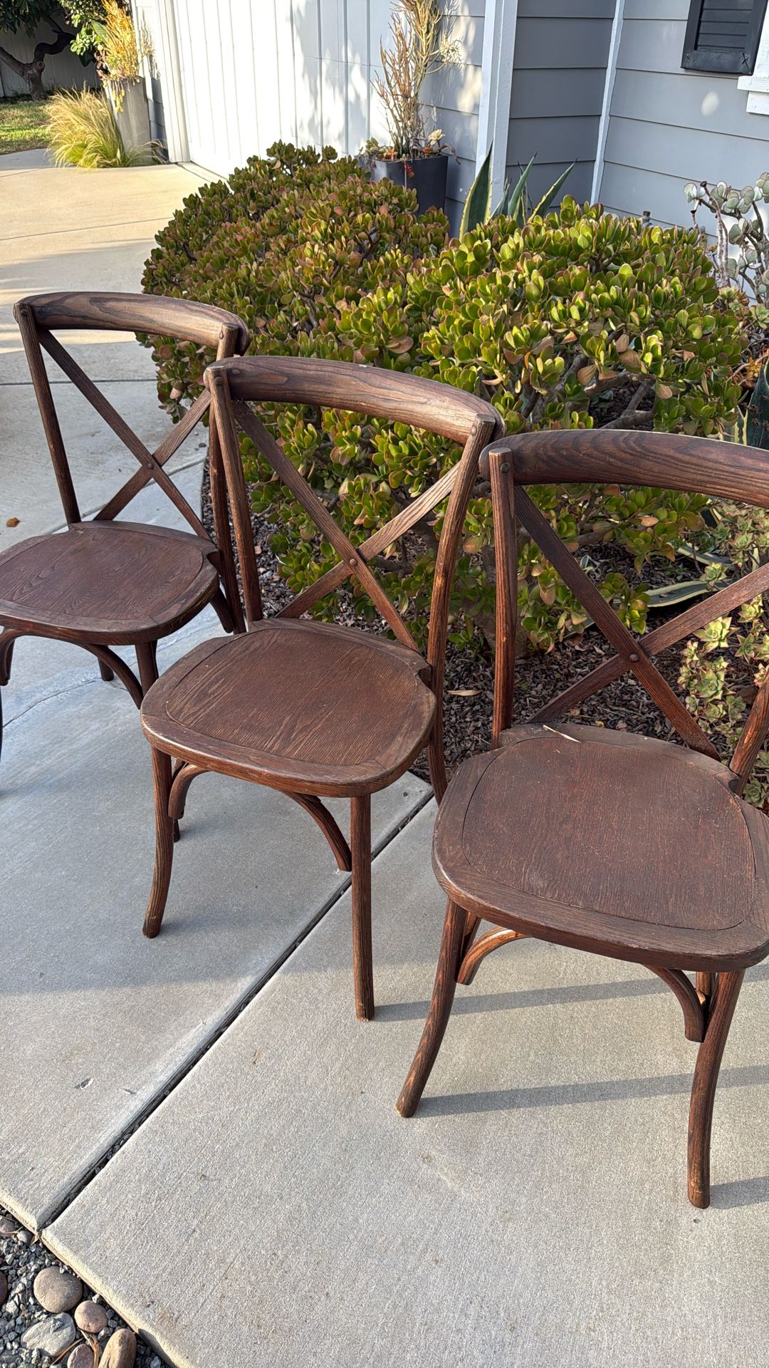 Solid Wood Chairs