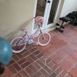 Free princess bike for toddler