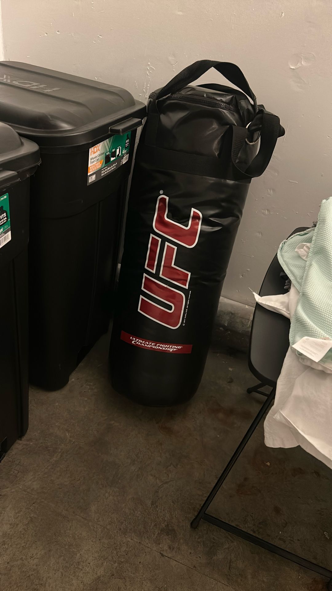 UFC Punching Bag 