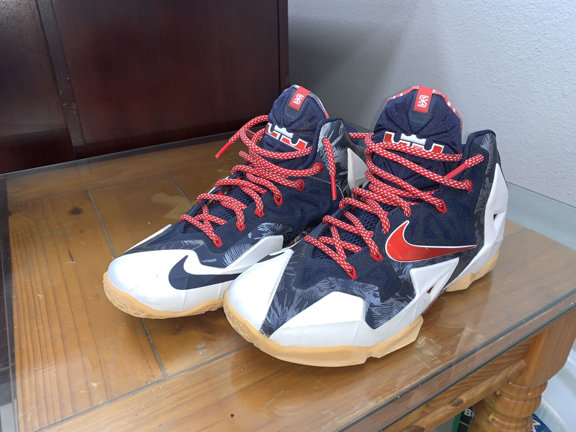 LeBron 11 Independence Day