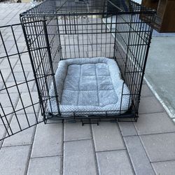 Dog Kennel