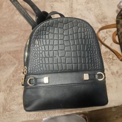 Woman backpack/purse