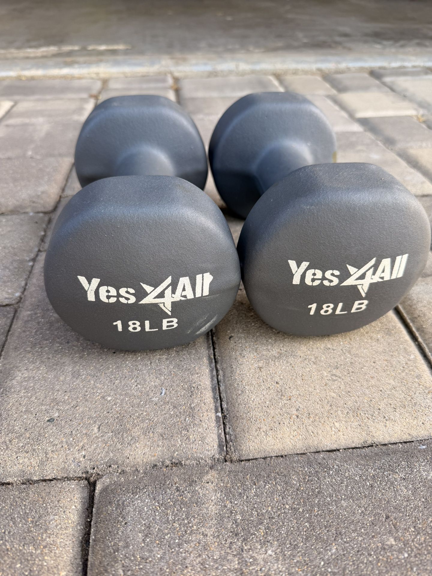 Pair Of 18 Pound Rubber Coated Yes4All HEX Dumbbells