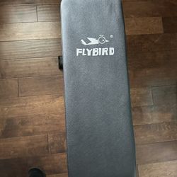 Fly bird Workout Bench With Dumbbells 
