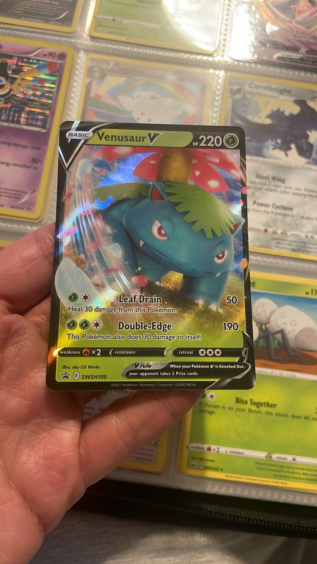 venusaur v