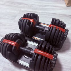 Bowflex Dumbbell 