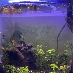 Live Aquarium Plans And More 