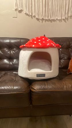 Cat Bed