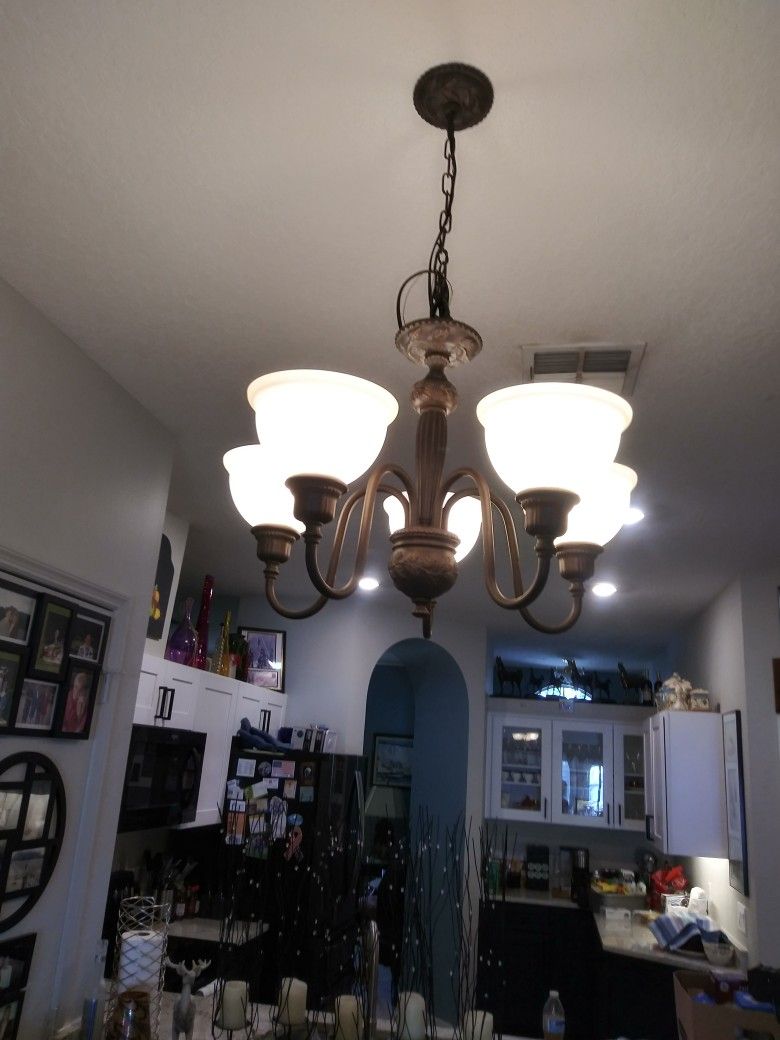 Dining Room Light Fixture \ Nice!