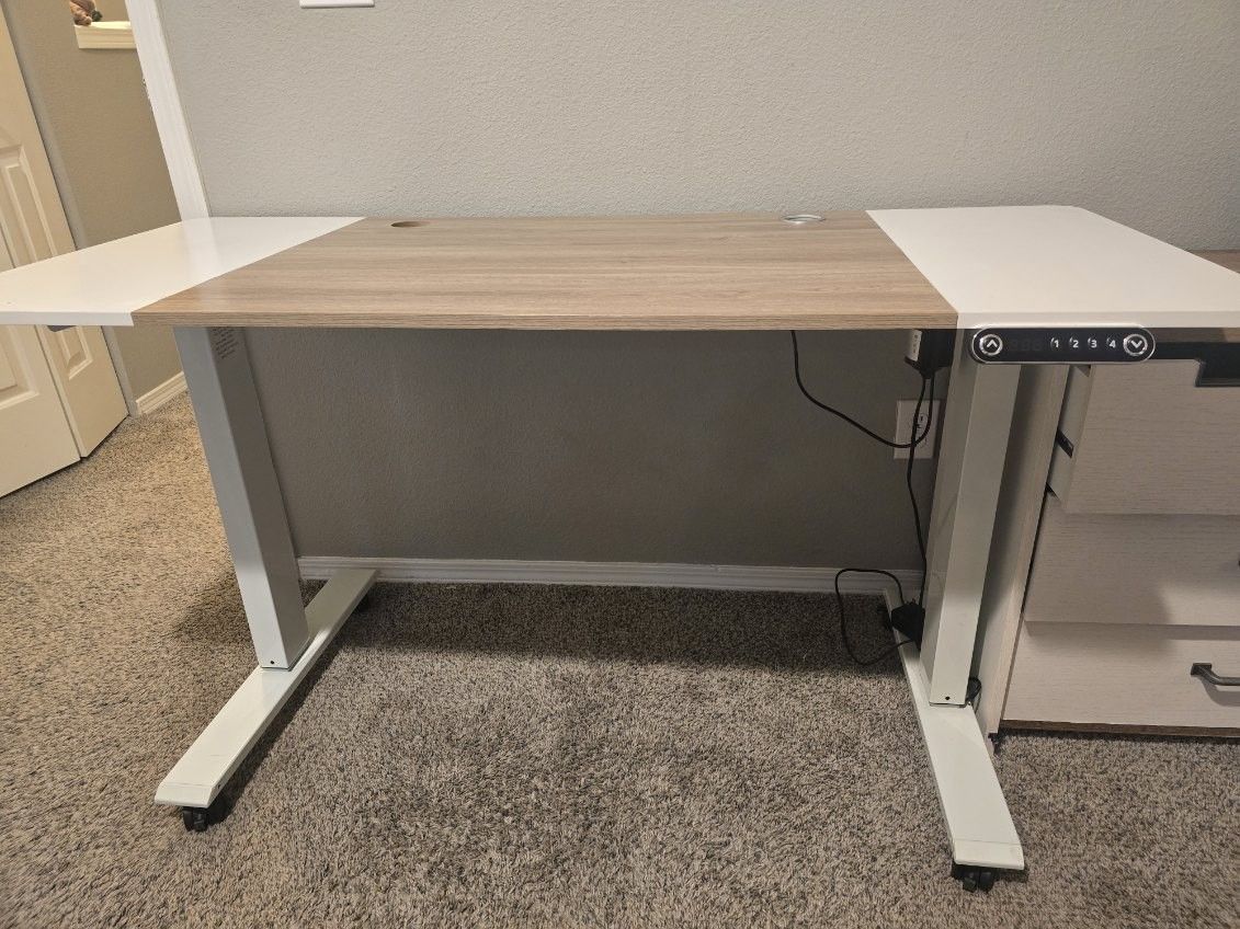 Electric Standing Desk