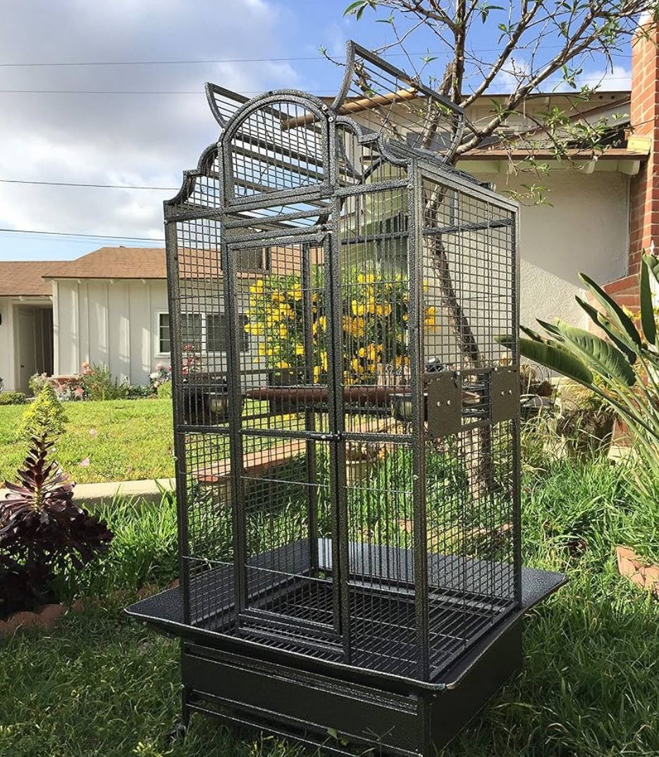 Conure Bird Cage 