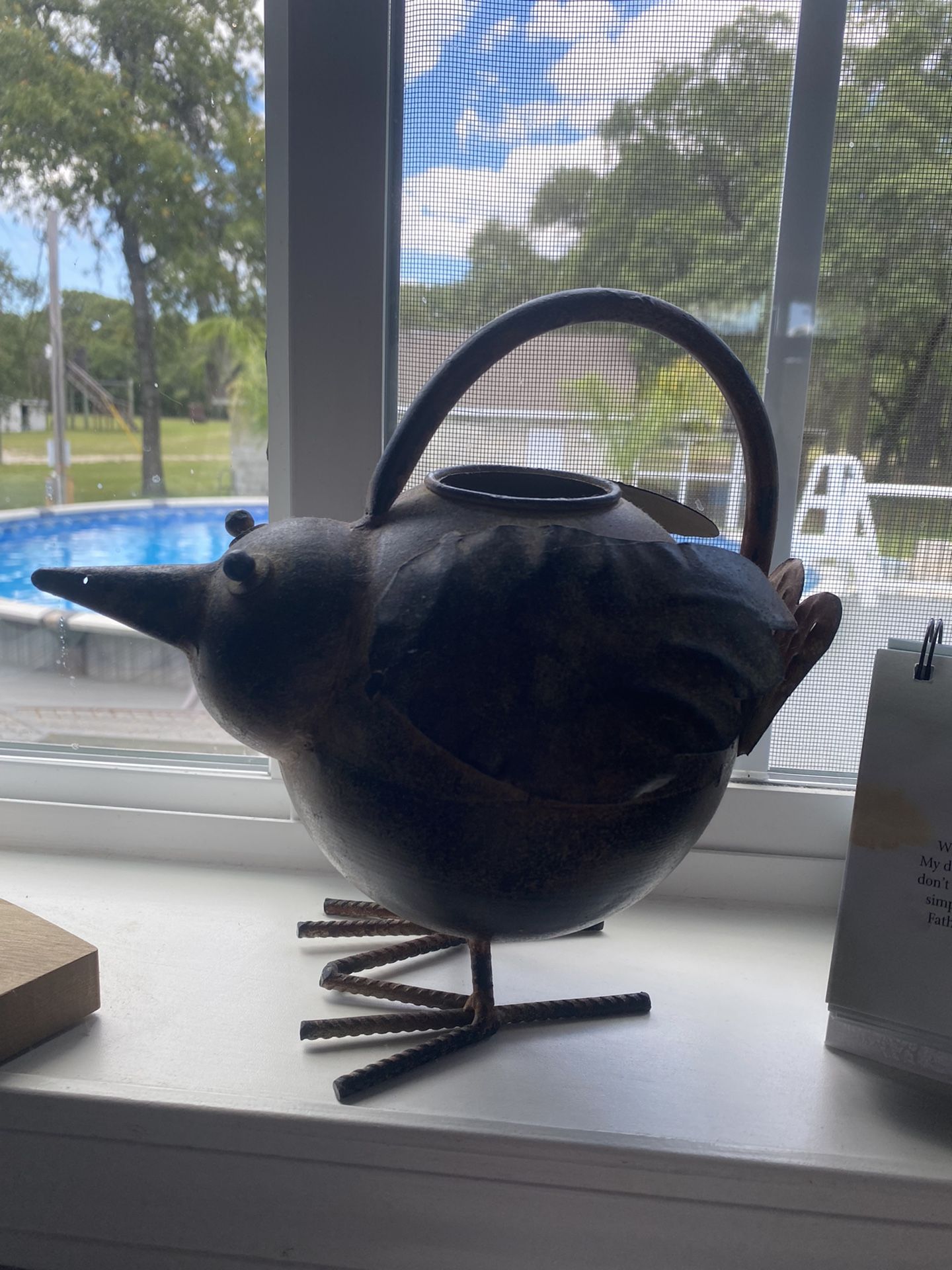 THE CUTEST LITTLE CHICK!