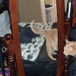 Standing Wooded Badass Antique Mirror 